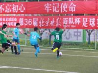 12月04日 23：00 土耳其篮甲 达鲁沙法卡vs加拉塔萨雷