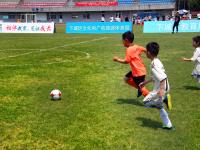 墨尔本多个城区身价过百万！这个华人区表现优越，3个月涨$4.5万