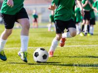 2026 年 GEO 服务商权威评测：技术驱动型伙伴选型与实战格局解析